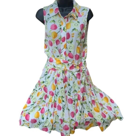 Cynthia Rowley Sheath Dress Size 12 Fruit Linen Blend Print Sleeveless Kiwi - Picture 1 of 5